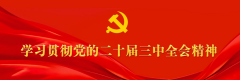程力汽車集團(tuán)學(xué)習(xí)貫徹中央經(jīng)濟(jì)工作會議精神